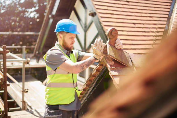 Best Roof Gutter Cleaning  in Dickson City, PA